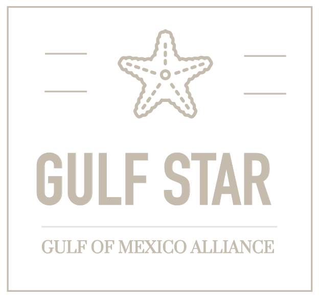 Screenshot 2021-07-07 at 12.10.19@2x Gulf Star logo