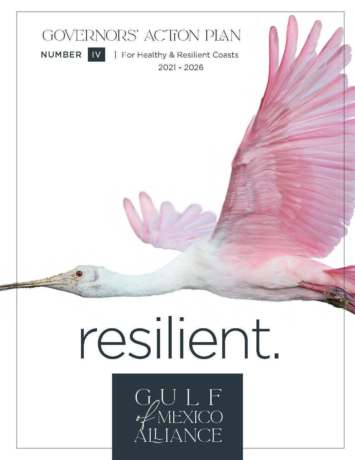 GOMA Action Plan Report – DRAFT 10_front cover only