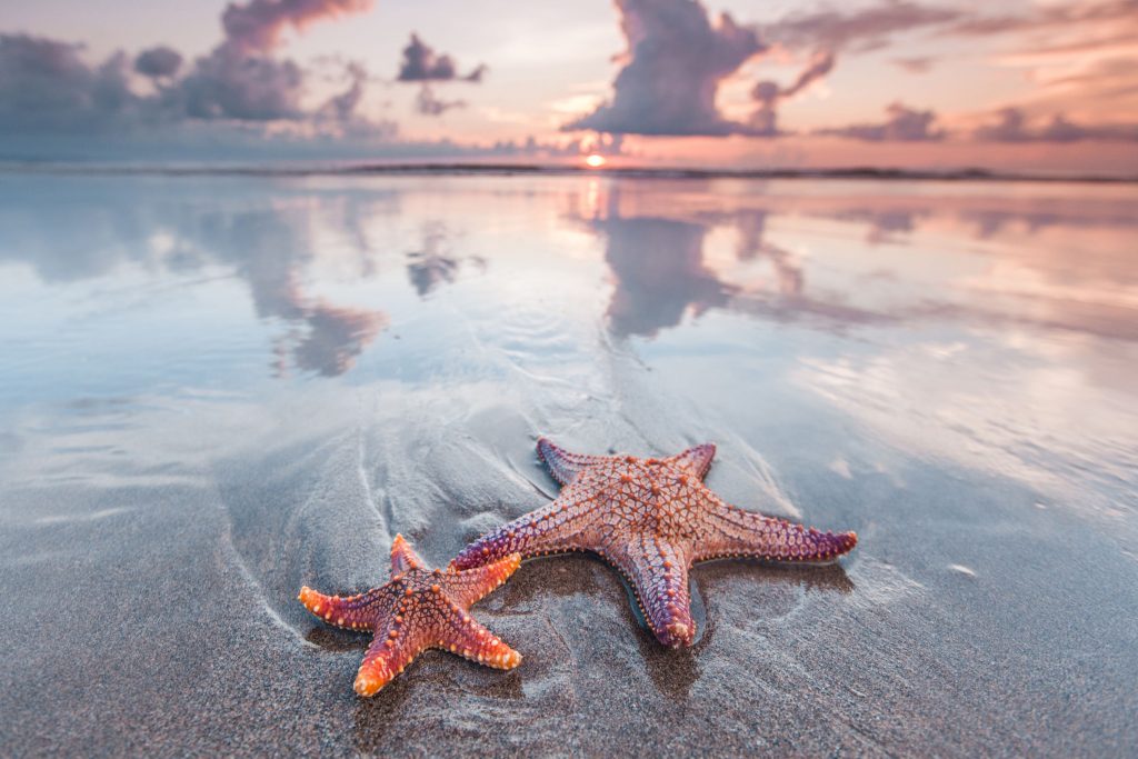 Sempra Infrastructure Joins the Gulf of America Alliance Gulf Star Program