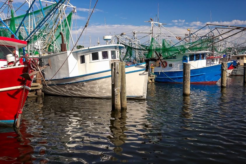 red white and blue shrimp boats in harbor