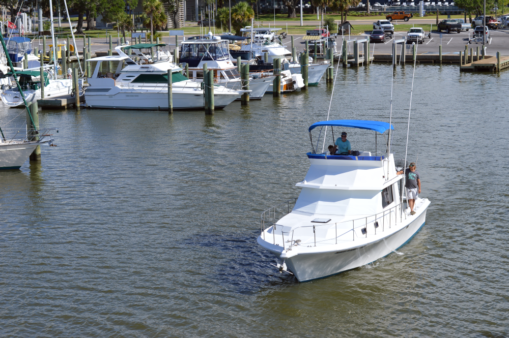 Funds are being used to increase capacity and implement eight new projects making a positive impact on coastal ecosystems and economies across the region.