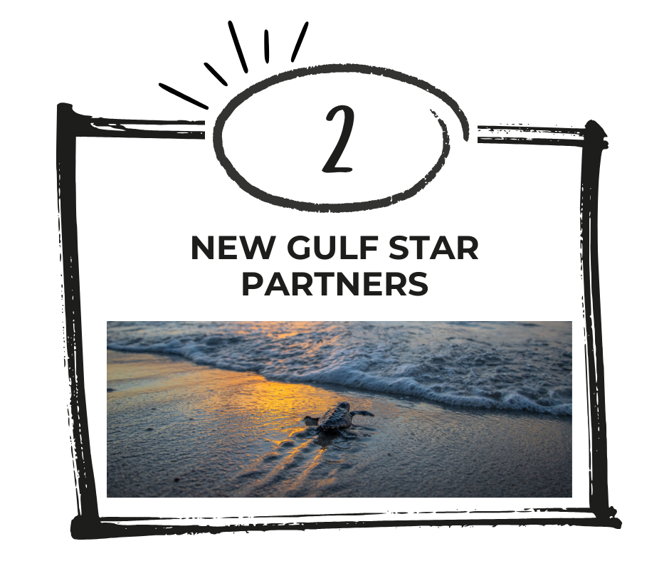 2025_Gulf Star Partners
