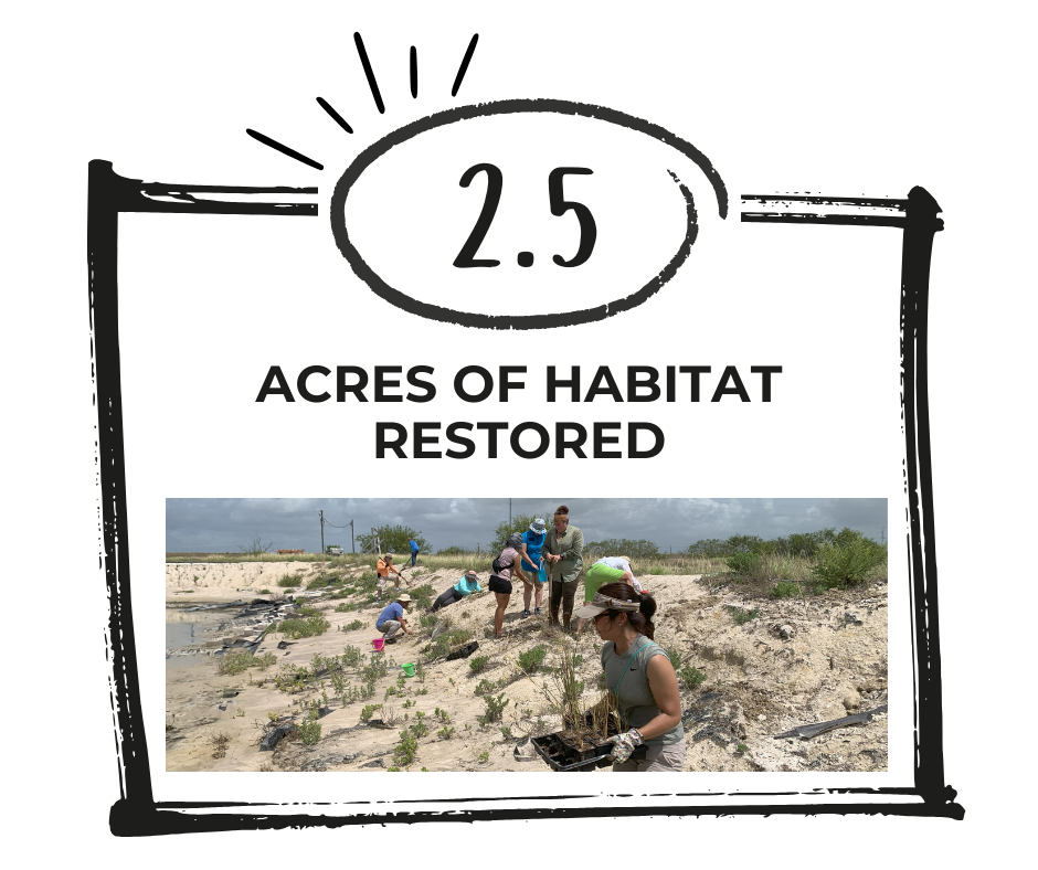 2025_Restored Habitat