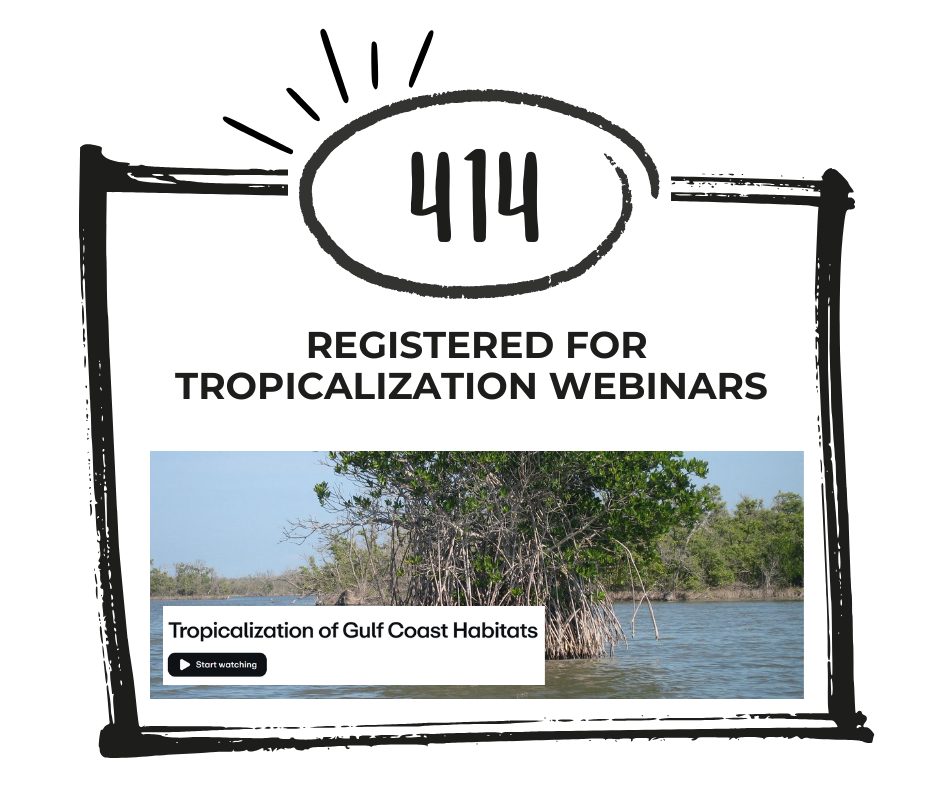 2025_Tropicalization