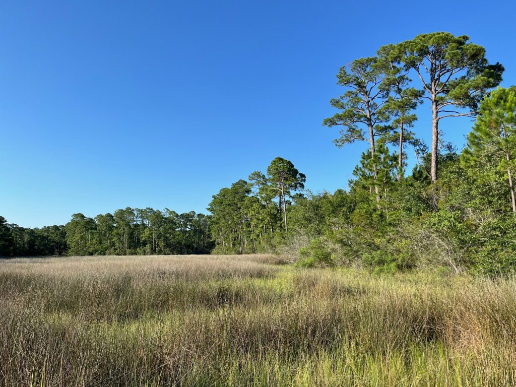 As a part of this collaboration, Alabama Power is funding a project that will expand the Native Plant Producer Network to schools in Mobile and Baldwin counties, Alabama.