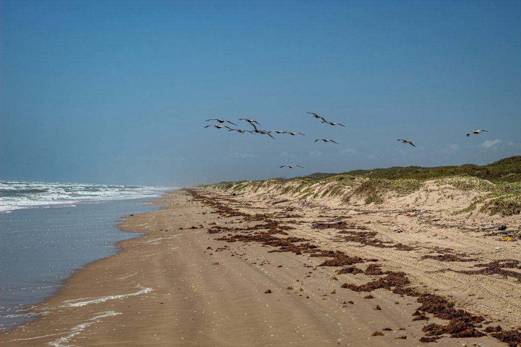 The Act will reauthorize Regional Ocean Partnerships (ROPs) and bring continued support for voluntary, intergovernmental coordination to address ocean and coastal issues.