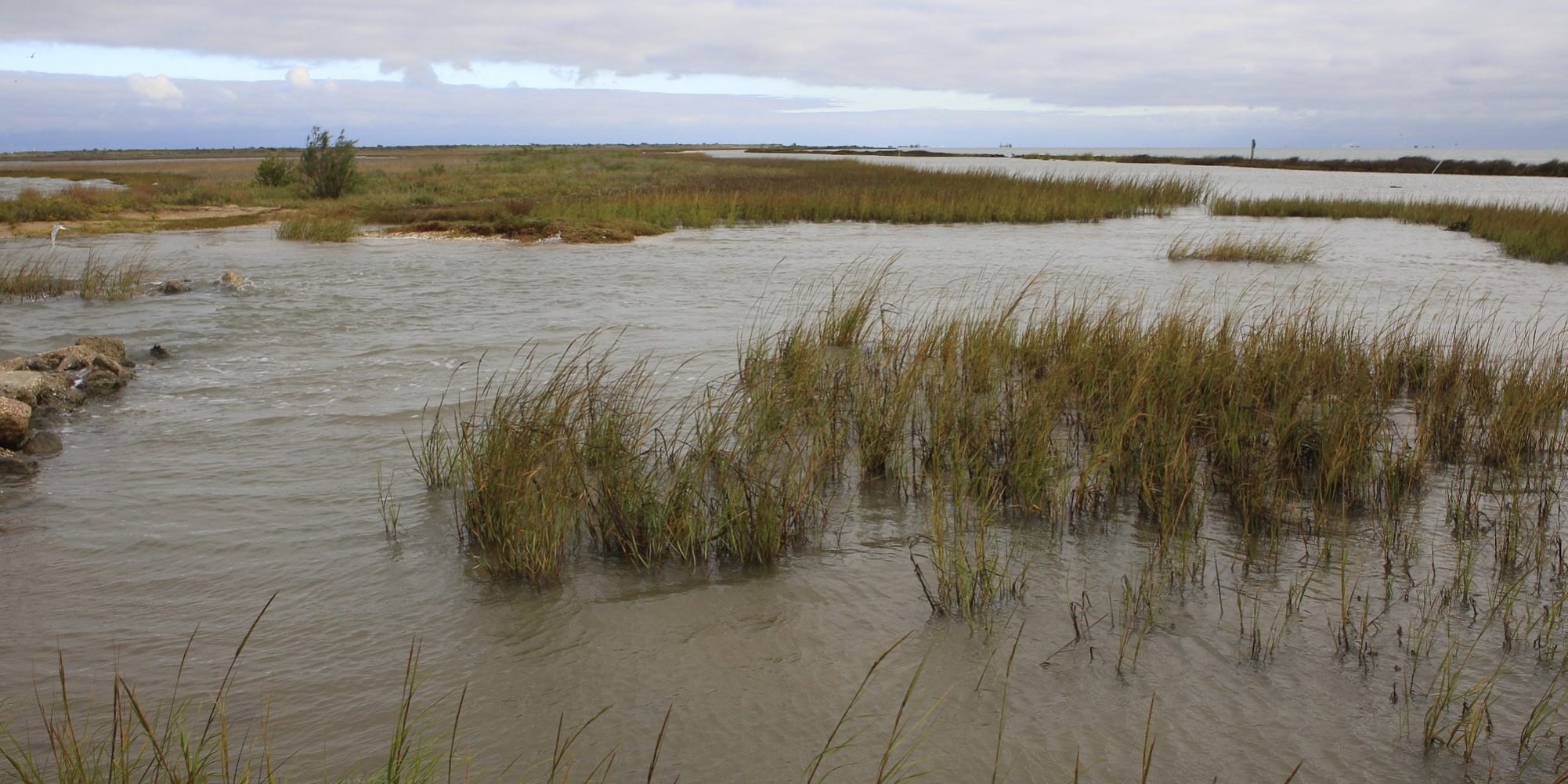 BHA Shoreline Resiliency 2