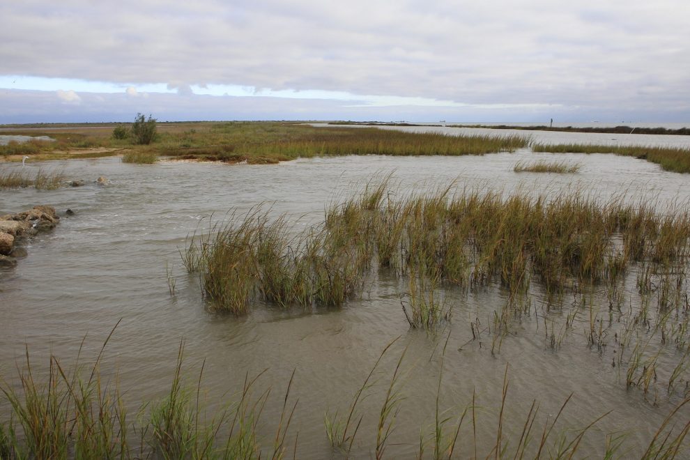 BHA Shoreline Resiliency 2