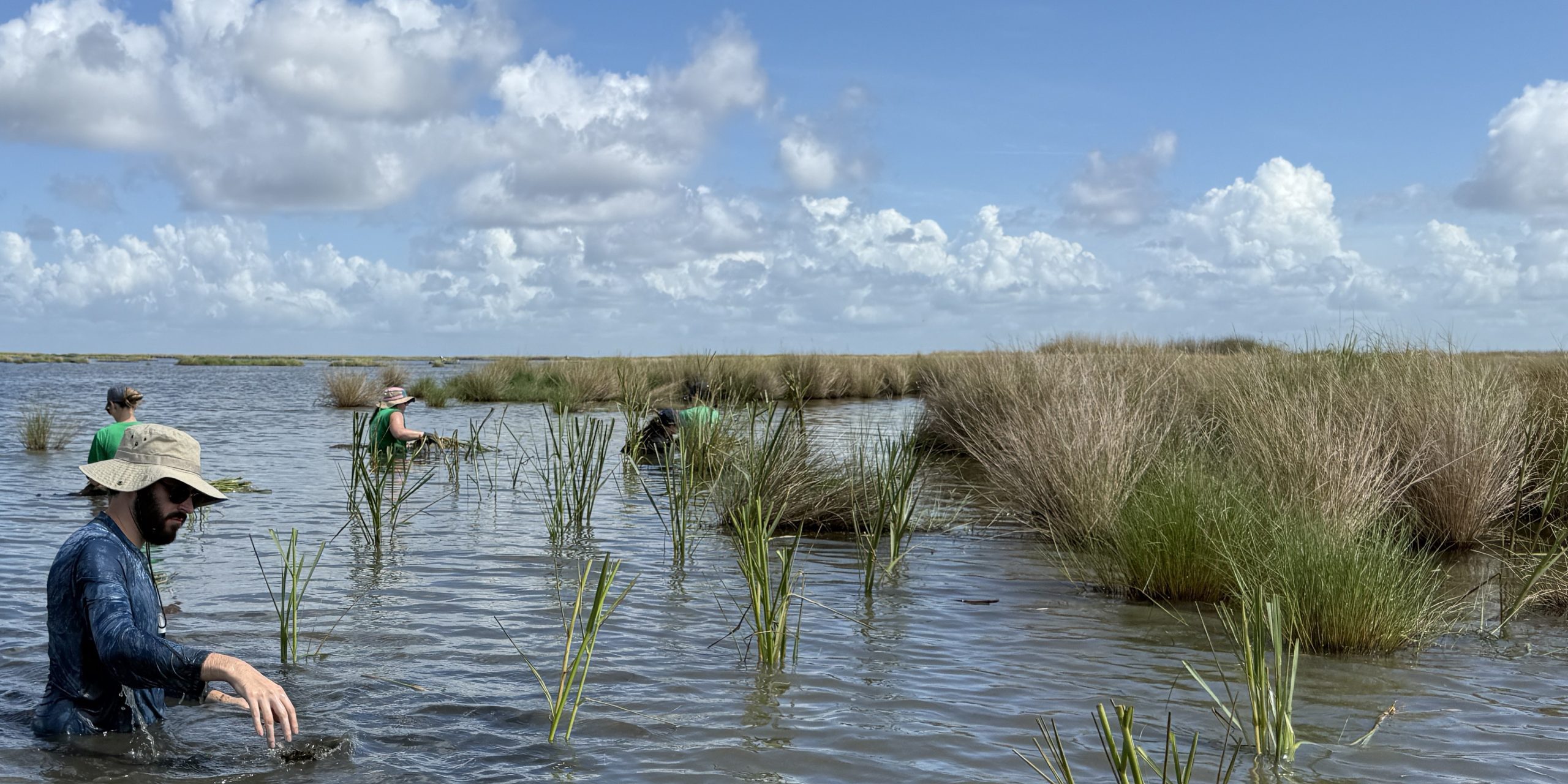 GOAA CRCL Marsh Plant June-110