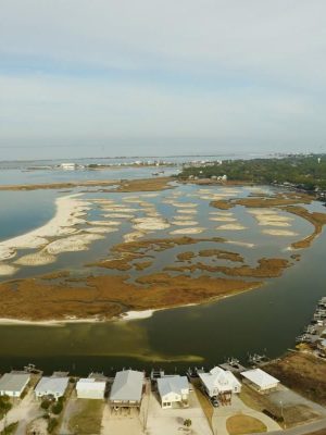 Dauphin Island AL (Credit Christina Mohrman lower res)