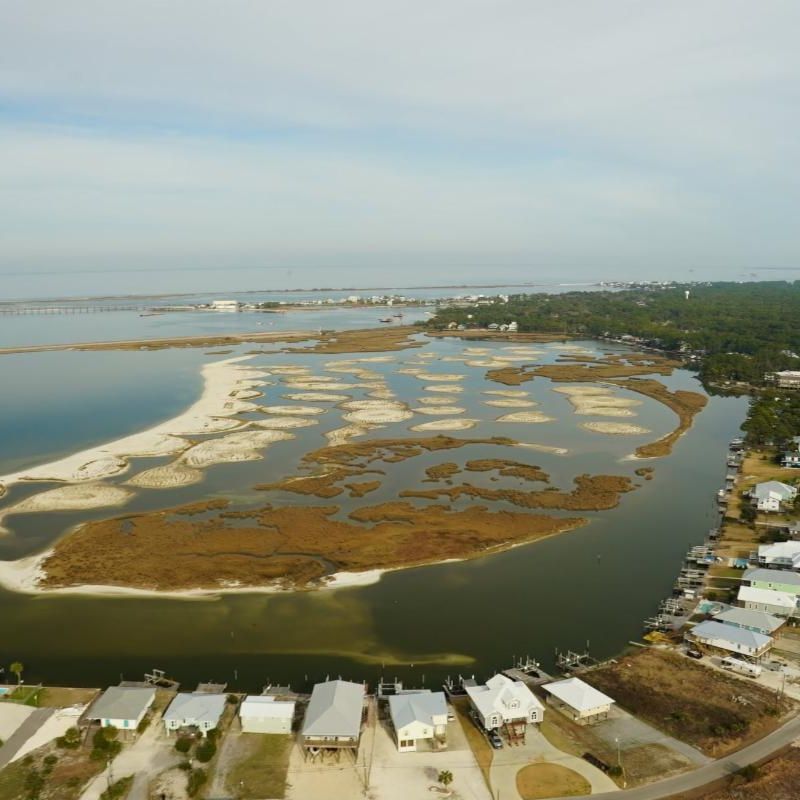 Dauphin Island AL (Credit Christina Mohrman lower res)