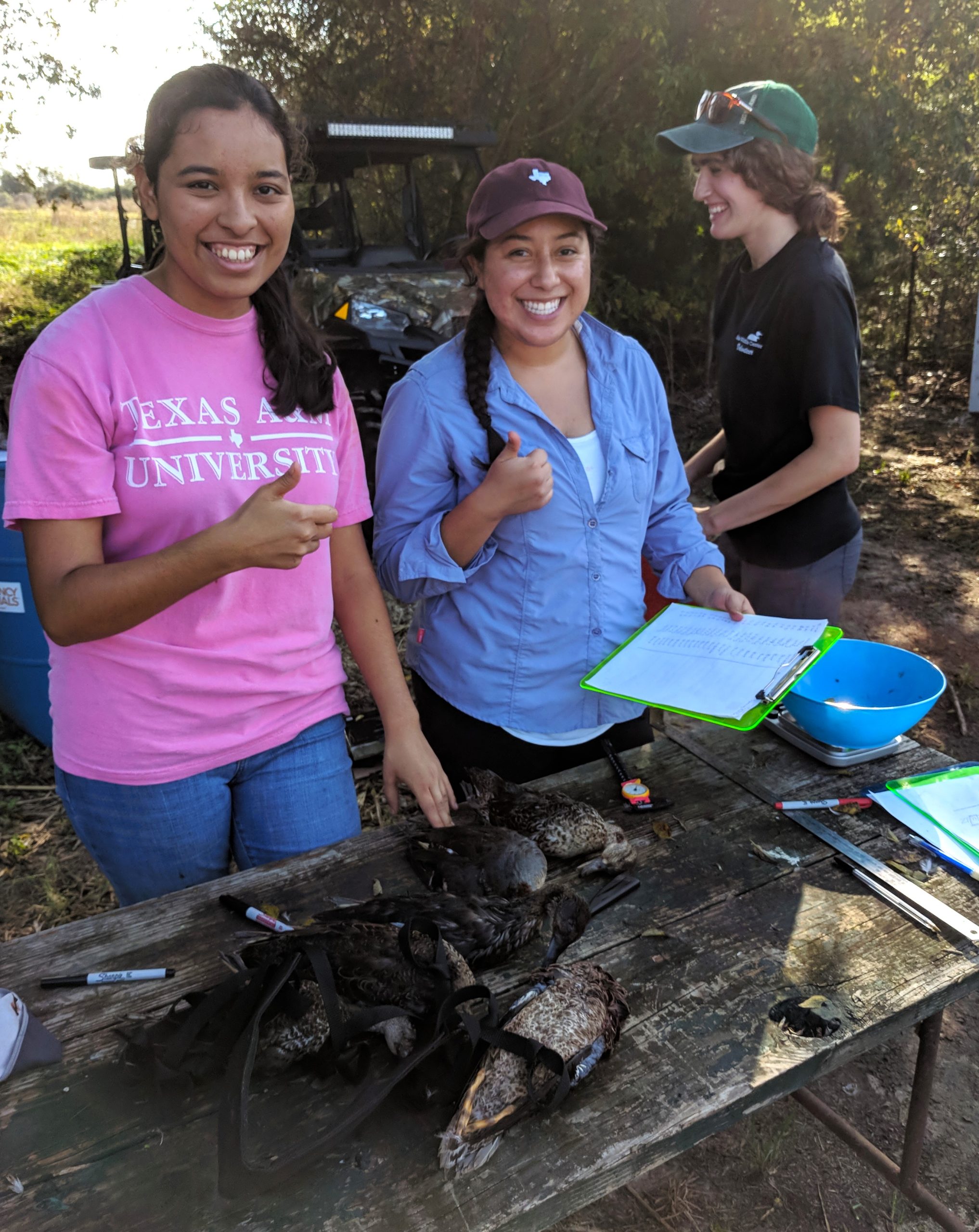 Microplastics and Exotoxins in Waterfowl Project