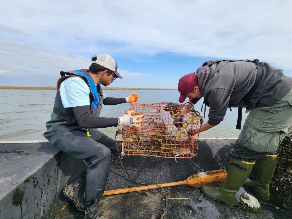 Alliance completes implementation of 13 projects to strengthen coastal communities
