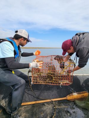 NOAA Funding-Derelict Crab Trap Removal-1