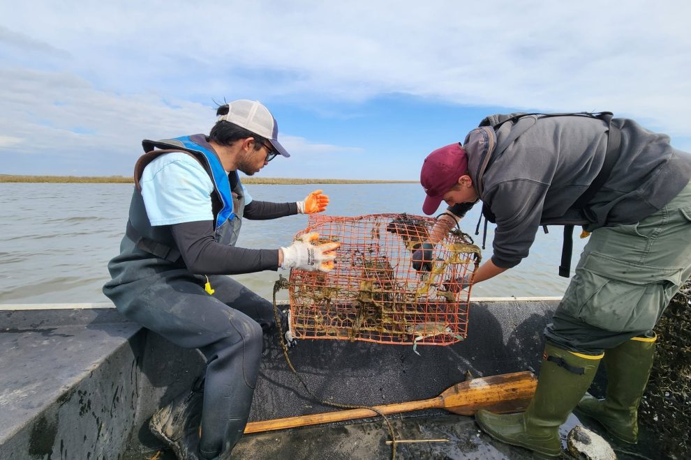 NOAA Funding-Derelict Crab Trap Removal-1