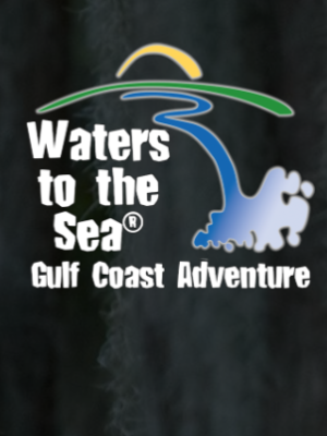 Waters to the Sea_logo screenshot