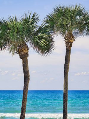 robert-woeger-837eBwJYOuM-unsplash